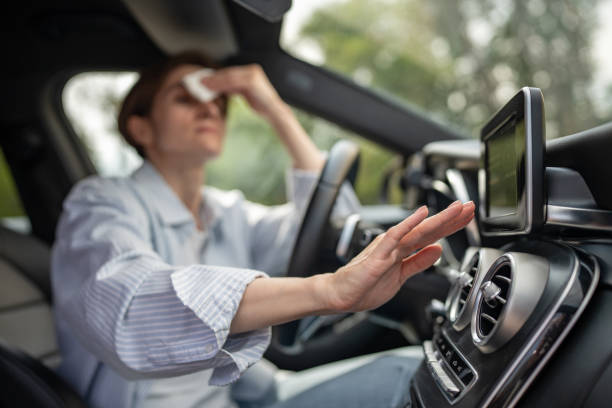 Best Thermostats and Smart Controls in Clio, AL