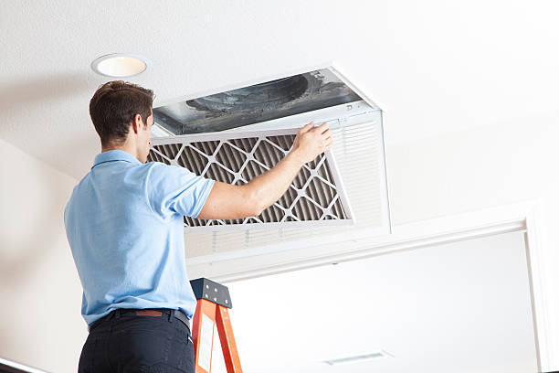 Best Furnace Cleaning in Clio, AL